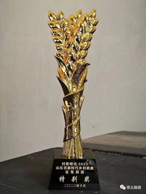 章丘文藝精品創(chuàng)作再結碩果 幸福笑臉 綻放全省新時代鄉(xiāng)村歌曲頒獎晚會